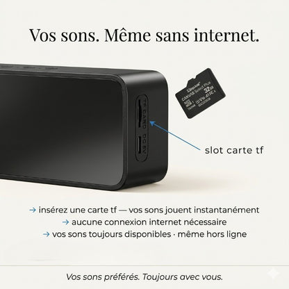 Réveil avec Enceinte Bluetooth Portable et Audio Véhicule – EchoRise Mini